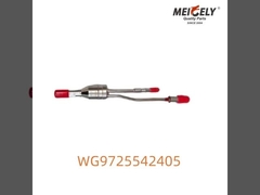 WG1034134102 Мочевая сосна для Howo ∙ Высококачественный компонент SCR