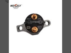 Вы ищете совместимый дизельный инжектор 0445120079 для вашего автомобиля Iveco?