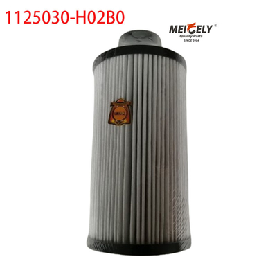 1125030-H02B0 Части грузовиков Фильтр топлива для Dongfeng Tianlong