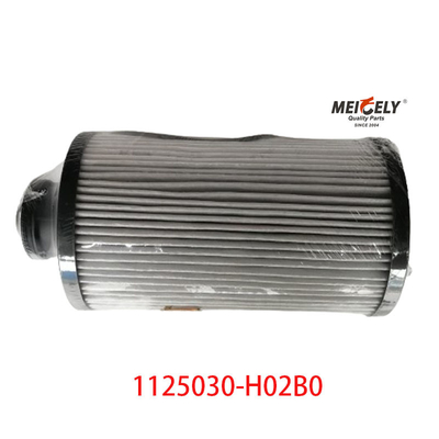 1125030-H02B0 Части грузовиков Фильтр топлива для Dongfeng Tianlong