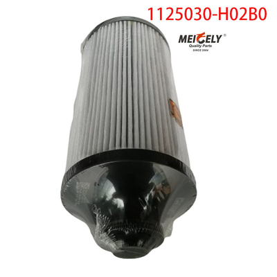 1125030-H02B0 Части грузовиков Фильтр топлива для Dongfeng Tianlong