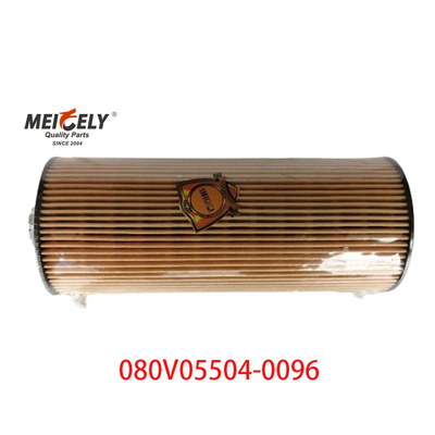 Запас OEM 080V05504-0096 Для фильтра масла для грузовиков SINOTRUK Howo T5G