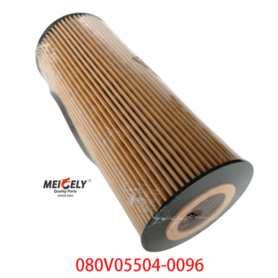 Запас OEM 080V05504-0096 Для фильтра масла для грузовиков SINOTRUK Howo T5G