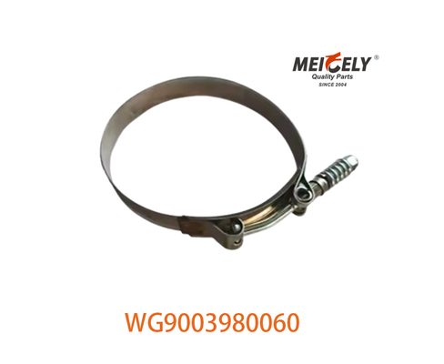 OEM WG9003980060 Сильная шланговая застежка для SINOTRUK HOWO