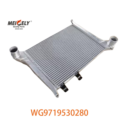 OEM WG9719530280 Для Howo Межохладитель сборка WG9719530281