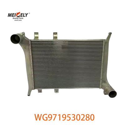 OEM WG9719530280 Для Howo Межохладитель сборка WG9719530281