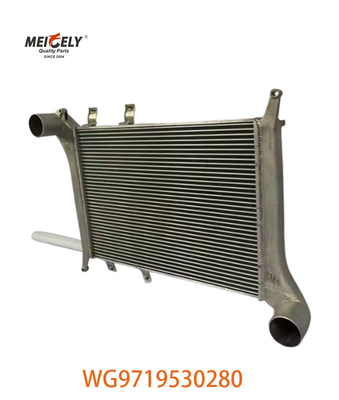 OEM WG9719530280 Для Howo Межохладитель сборка WG9719530281