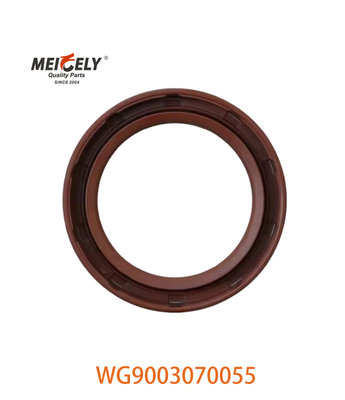 WG9003070055 Масляная уплотнитель PS55X75X12 Подходит для SINOTRUK CNHTC HOWO