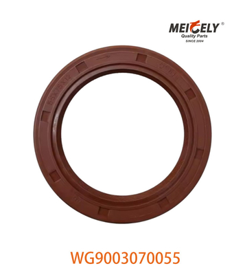 WG9003070055 Масляная уплотнитель PS55X75X12 Подходит для SINOTRUK CNHTC HOWO